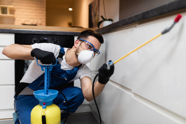 Pest Control Cost in Brookshire, TX