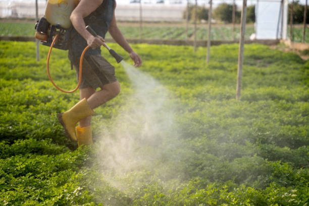 Best Commercial Pest Control Services  in Brookshire, TX