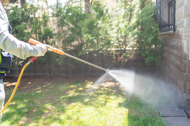 Best Pest Control for Businesses  in Brookshire, TX