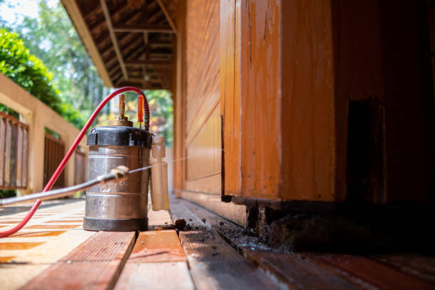 Best Insect Control  in Brookshire, TX