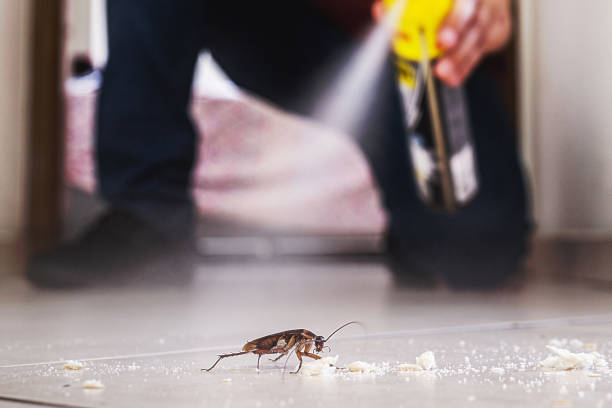 Professional Pest Control in Brookshire, TX