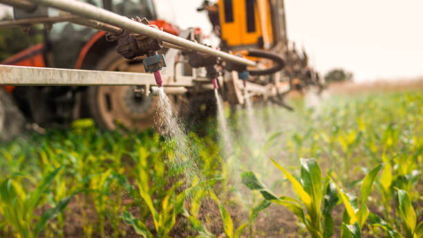 Best Mosquito Control Services  in Brookshire, TX