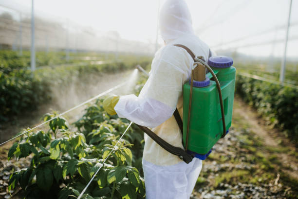 Best Pest Inspection Near Me  in Brookshire, TX